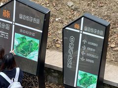 -白水寺森林公园