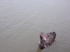 -宁波杭州湾国家湿地公园