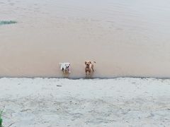 -浈阳坊旅游小镇