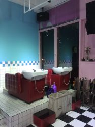 -变画·发型STUDIO