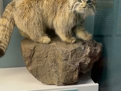 -国家自然博物馆