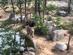 -石家庄市动物园