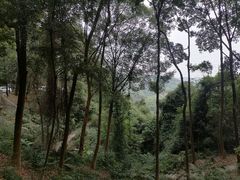 -广州市帽峰山景区