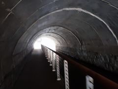 -白水寺森林公园
