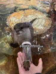 -Zoolung Zoolung动物主题公园(海信广场店)