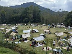 -黄埔油麻山森林公园