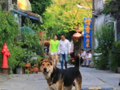 -三溪村