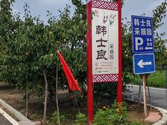 -韩士良采摘园