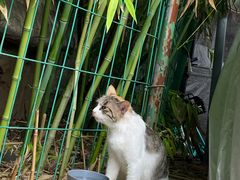 -萌兽医馆·犬猫专科·眼科中心·宠物医院(朝阳门分院)