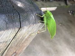-青龙山国家森林公园