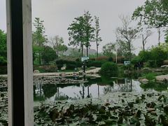 -郑东新区湿地公园