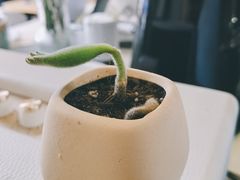 -WATER CAFE(广厦店)