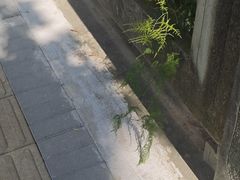 -楼外楼(西湖景区孤山路店)