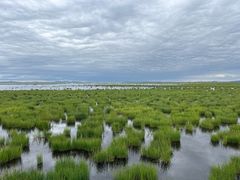 -花湖生态旅游区