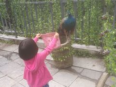 -苍山感通索道