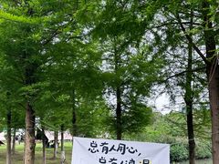 -三垟湿地