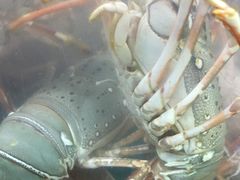 -班赞海鲜市场