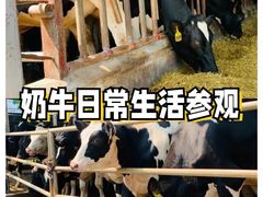 -深圳湾公园(南山区)