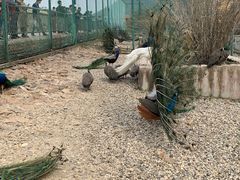 -南京金牛湖风景区