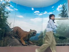 -国家自然博物馆