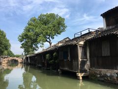 -乌镇东栅景区