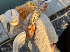 -DGE季风钓虾营地·团建·聚会