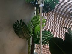 -施奈儿.洗头頭療.按摩SPA.采耳(上梅林店)