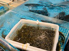 -文涵小院·邻里厨房