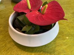 -上海总会SHANGHAICLUB(兴业太古汇店)