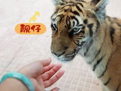 -西霞口神雕山野生动物世界