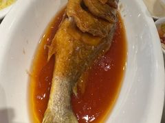 糖醋黄鱼-燕云楼(云南路店)
