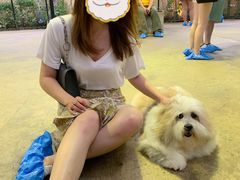 -TrueLove @ Neverland (Husky Cafe)