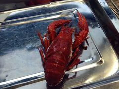 -九喜龙虾(凤城六路直营店)