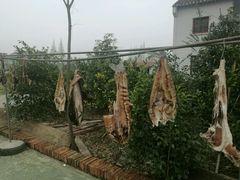 -小六农家乐(崇明西沙湿地店)
