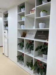 -成都西区医院整形美容