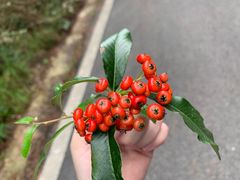 -重庆云阳龙缸景区