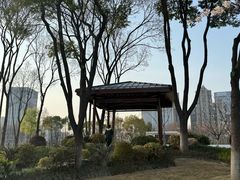 -后襄河公园