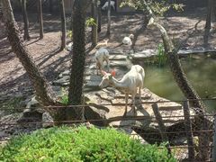 -沈阳森林动物园