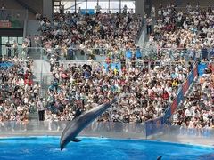 -海合安成都极地海洋公园