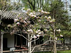 -碑林公园