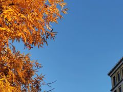 -中粮·祥云小镇
