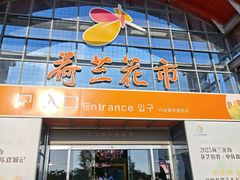 -荷兰花海