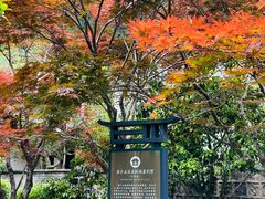 -溪口商量岗景区
