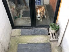 -About Bistro關於·泰式家庭料理