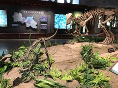 -自贡恐龙博物馆