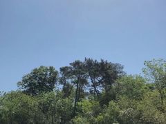 -南京金牛湖风景区