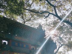 -北京国子监胡同