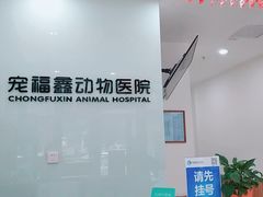 -宠福鑫动物医院(望京分院)