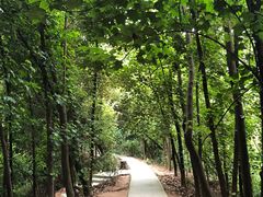 -中山市树木园