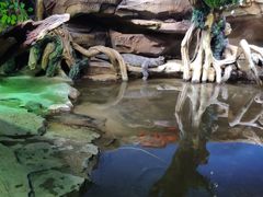 -沙沙哗啦海洋馆(华宇百花谷店)